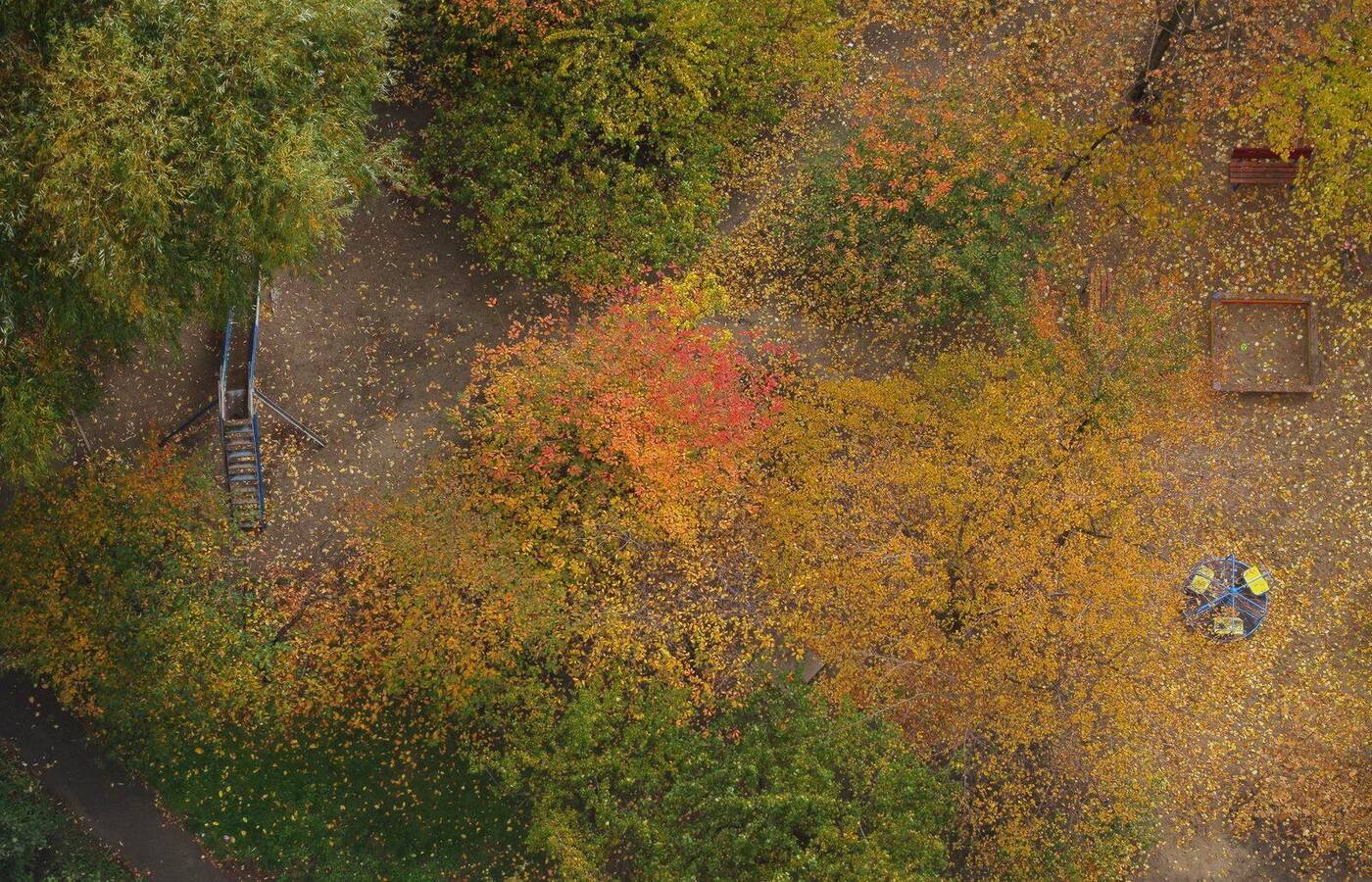 An aerial view of a fenced yard with a play structure among trees in orange and yellow fall color