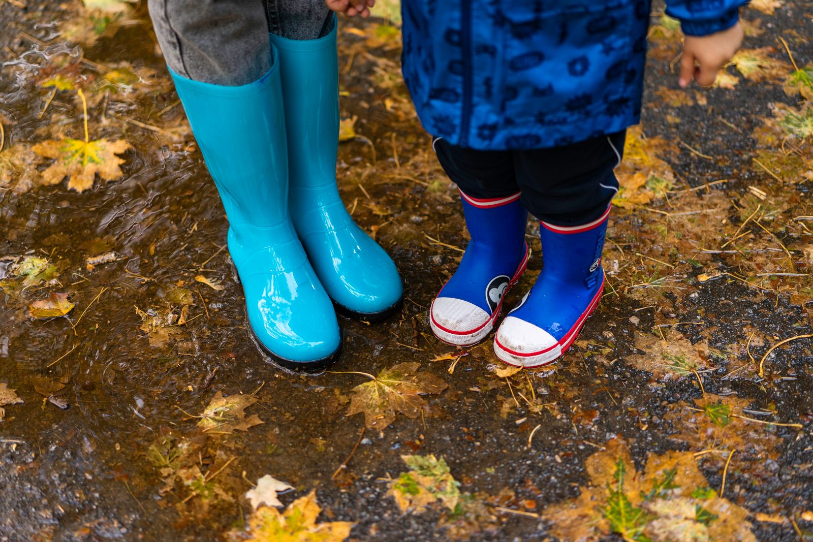 Two pairs of bright rubber boots standing on wet autumn leaves